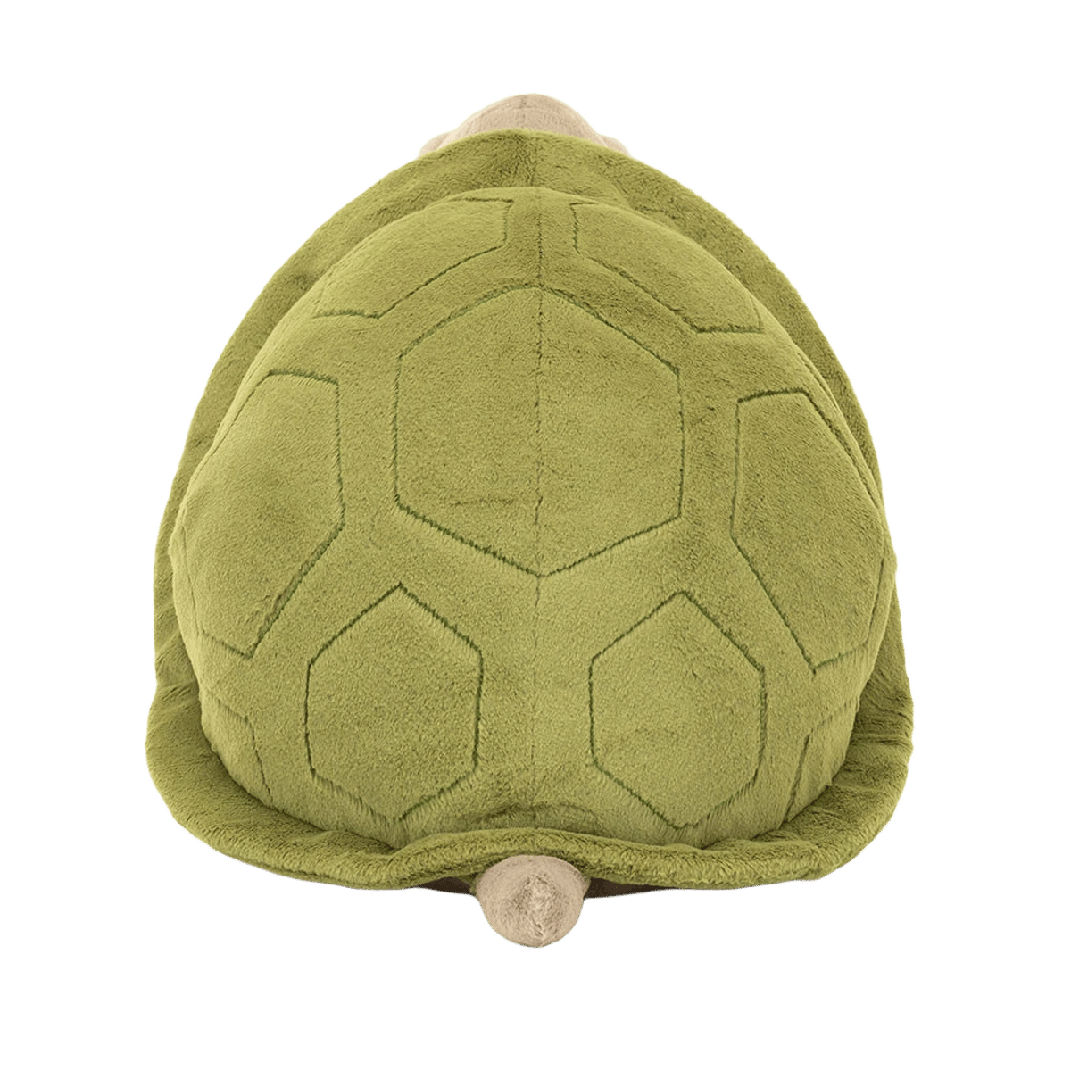 Timmy Turtle