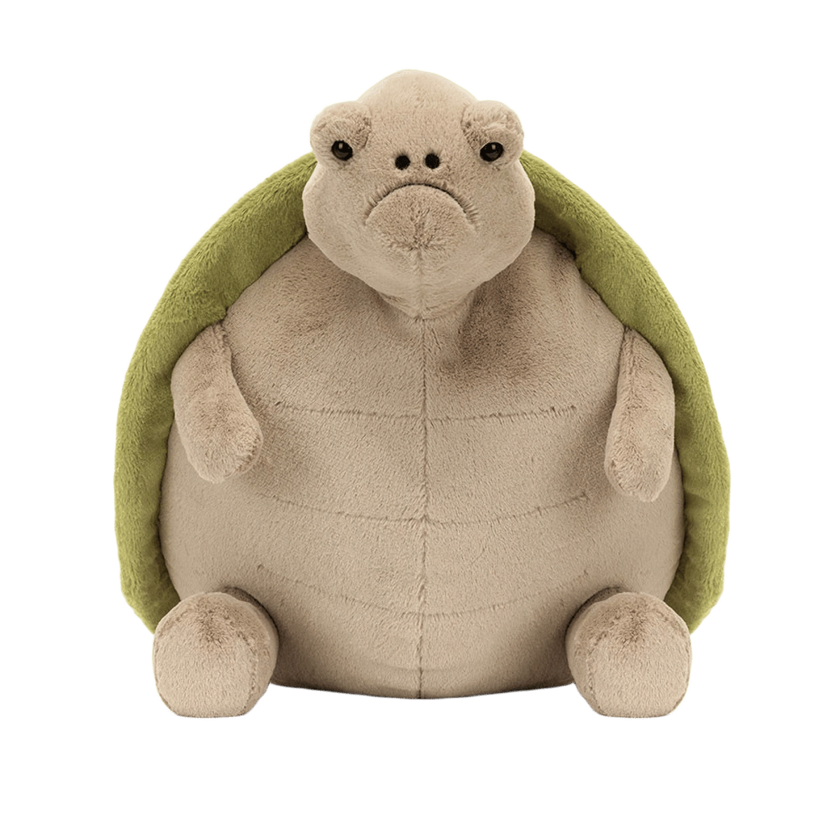 Timmy Turtle