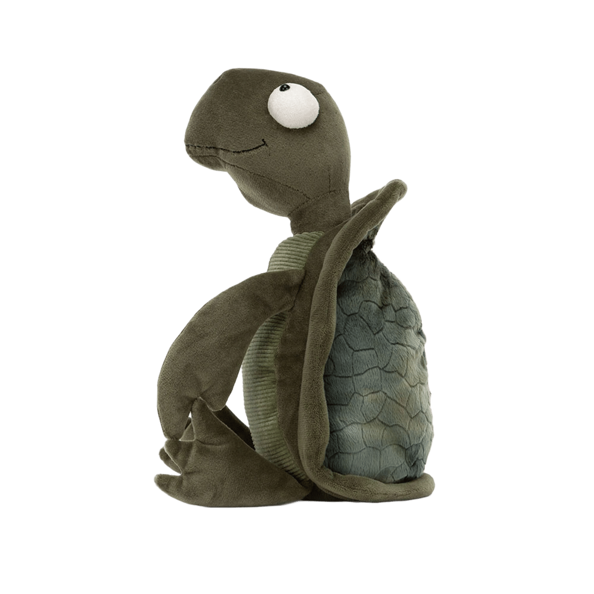 Tommy Turtle