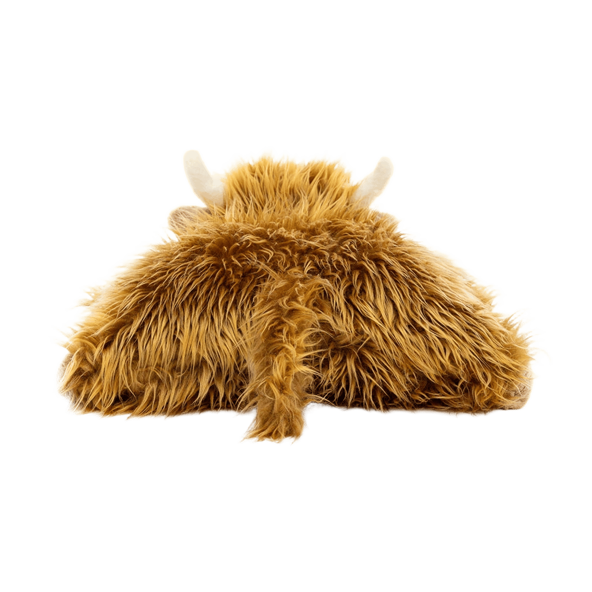 Truffles Highland Cow