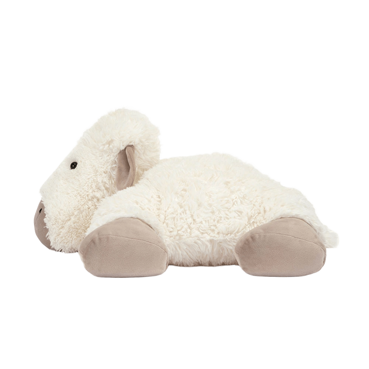 Truffles Sheep