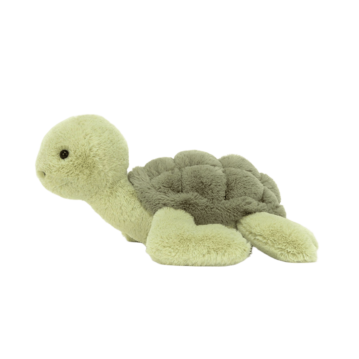 Tully Turtle