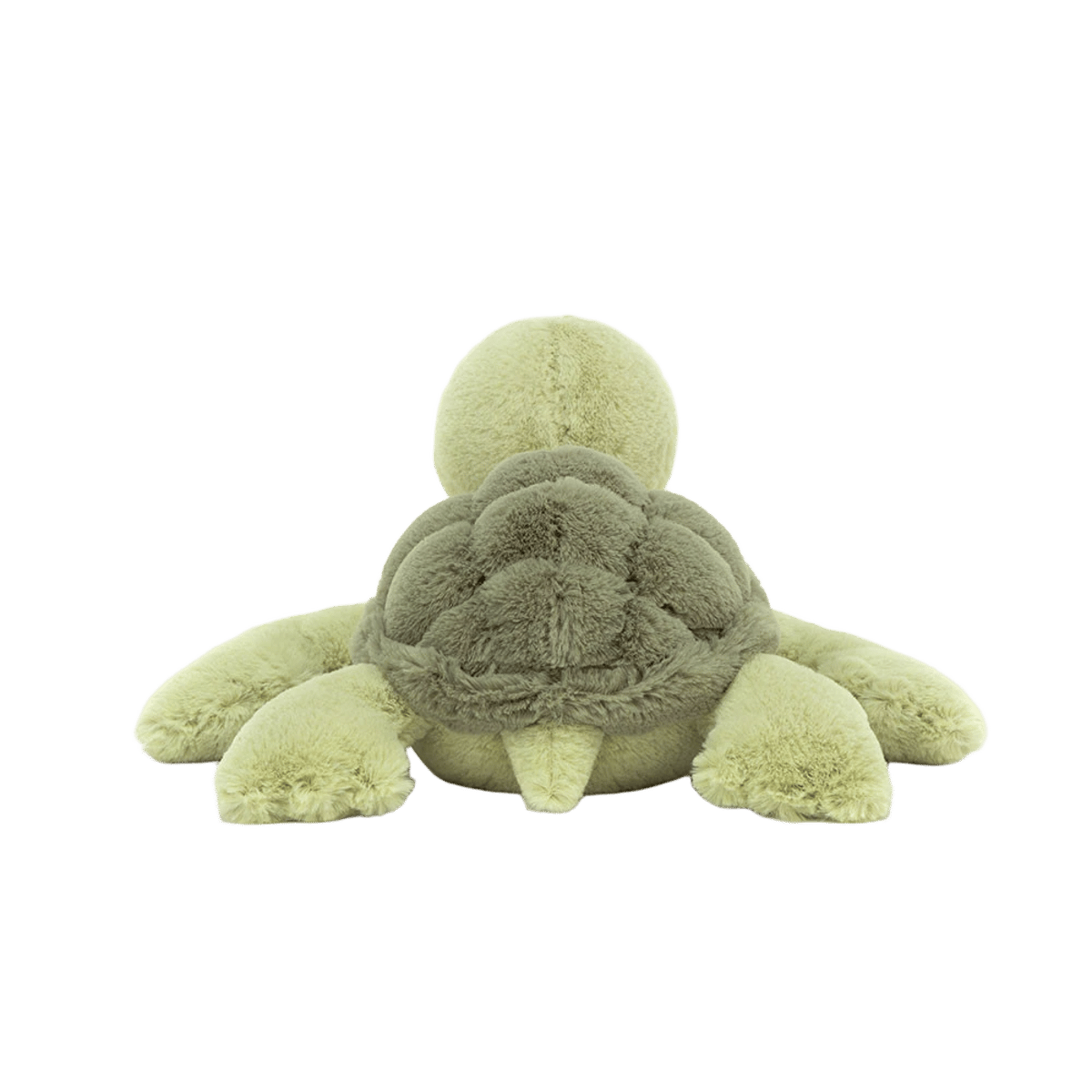 Tully Turtle