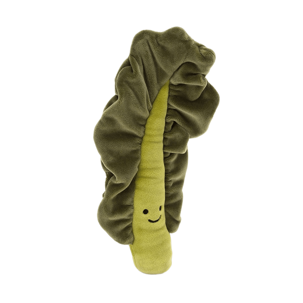 Vivacious Vegetable Kale Leaf