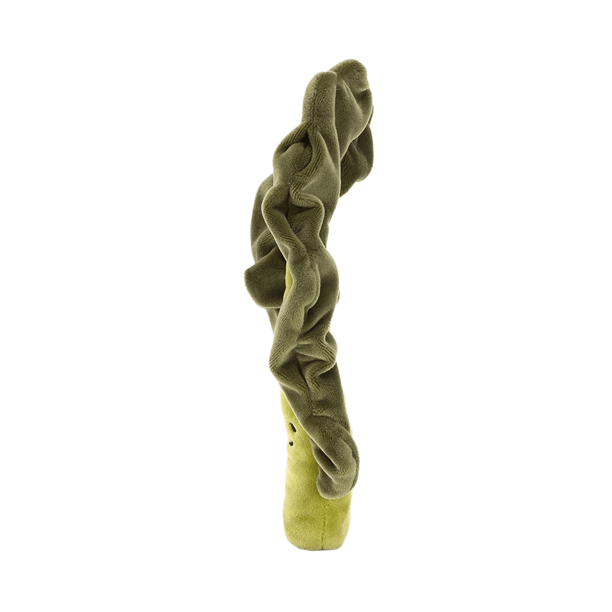 Vivacious Vegetable Kale Leaf