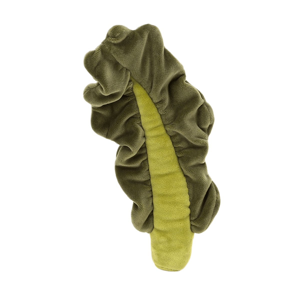 Vivacious Vegetable Kale Leaf
