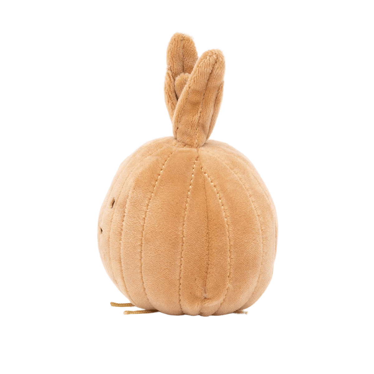 Vivacious Vegetable Onion