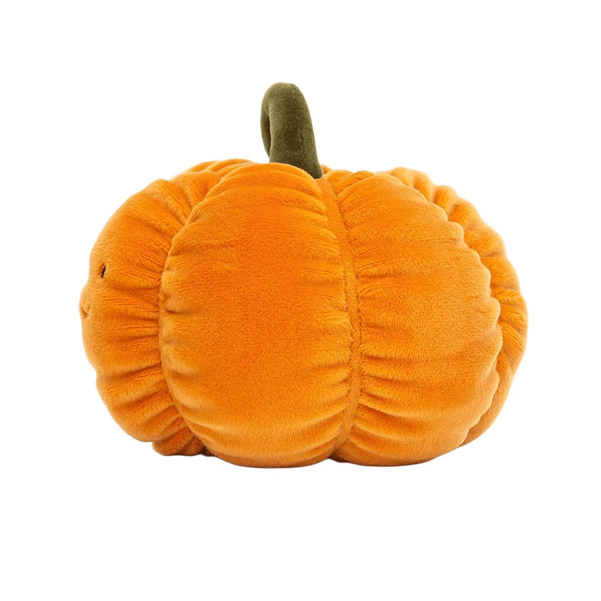 Vivacious Vegetable Pumpkin