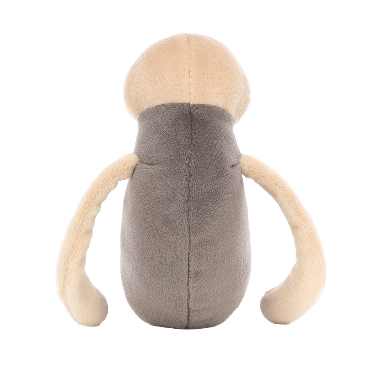 Wally Water Boatman