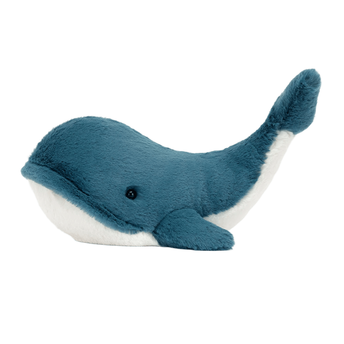 Wally Whale