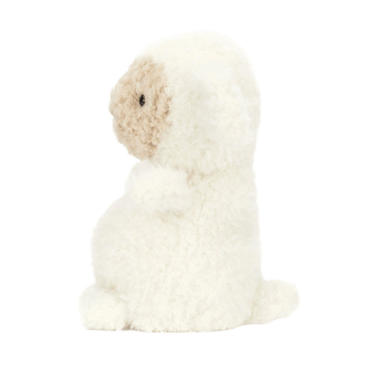 Wee Lamb