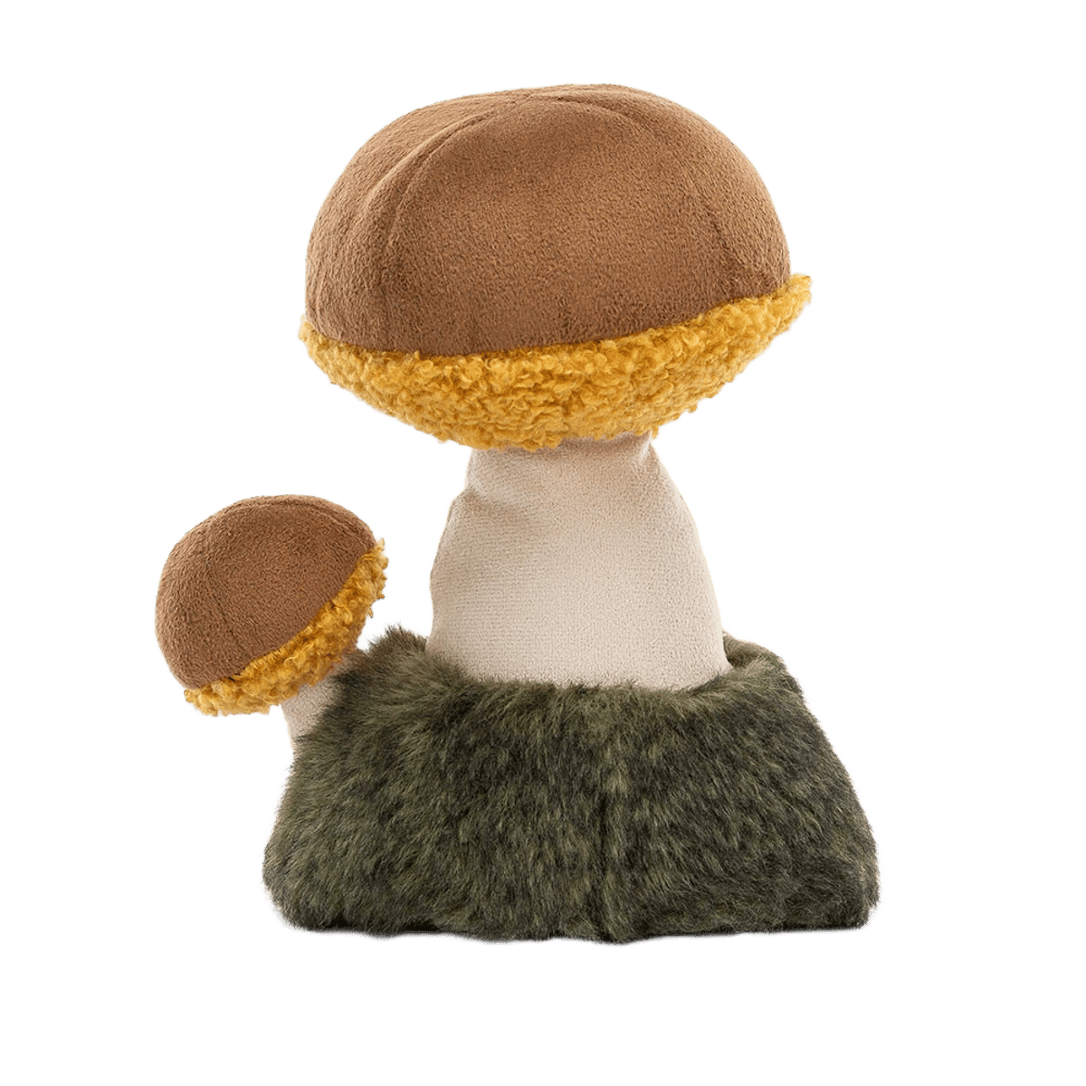 Wild Nature Boletus Mushroom