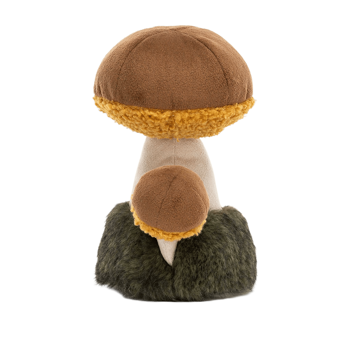 Wild Nature Boletus Mushroom