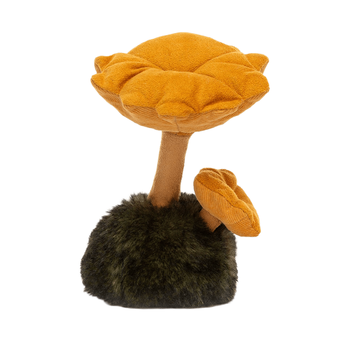 Wild Nature Chanterelle Mushroom