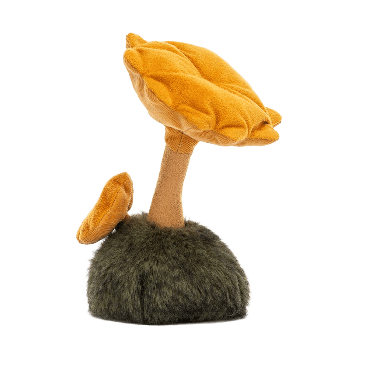 Wild Nature Chanterelle Mushroom