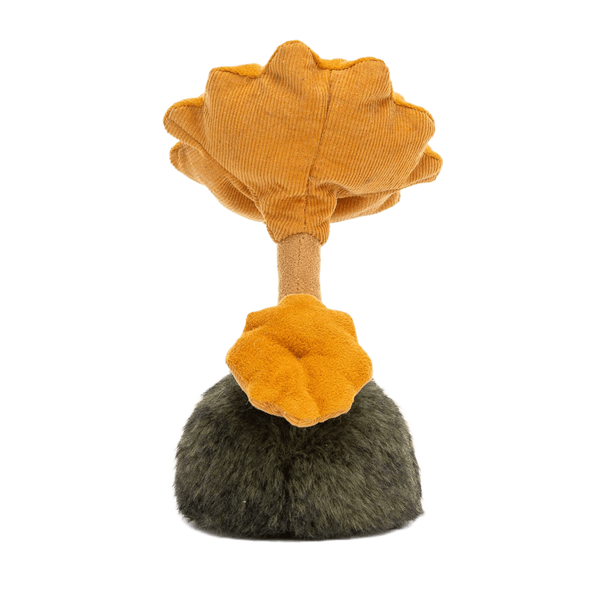 Wild Nature Chanterelle Mushroom