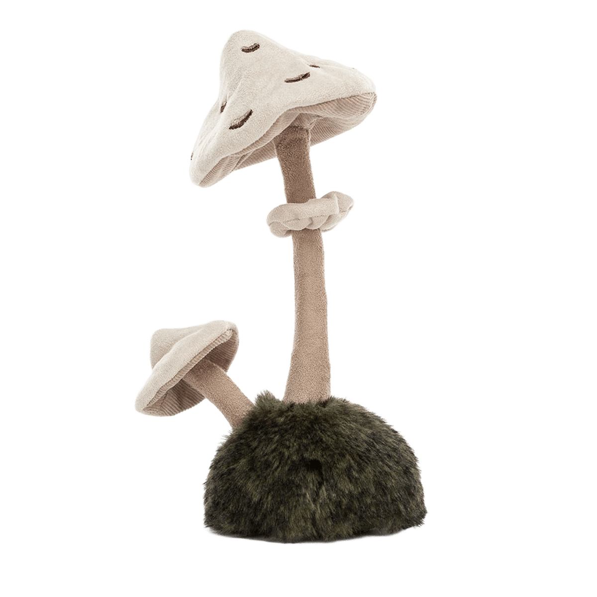 Wild Nature Parasol Mushroom