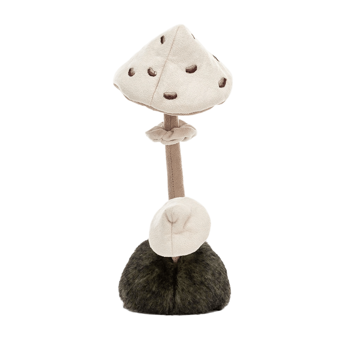 Wild Nature Parasol Mushroom