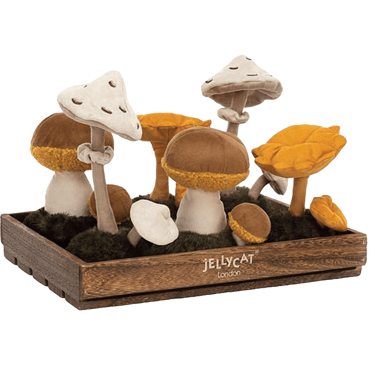 Wild Nature Wooden Box