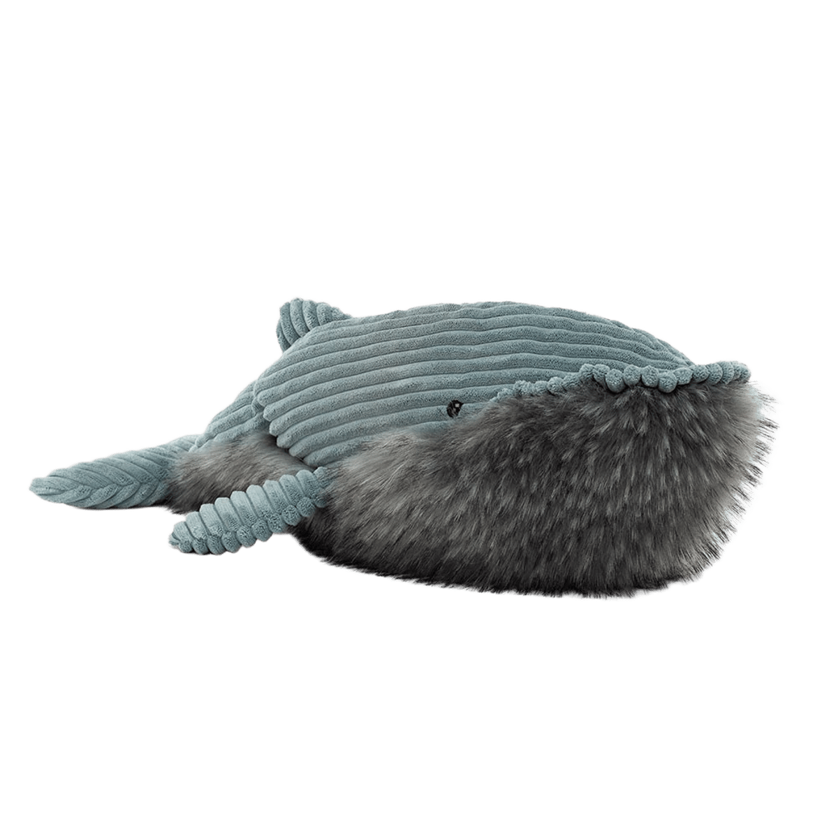 Wiley Whale