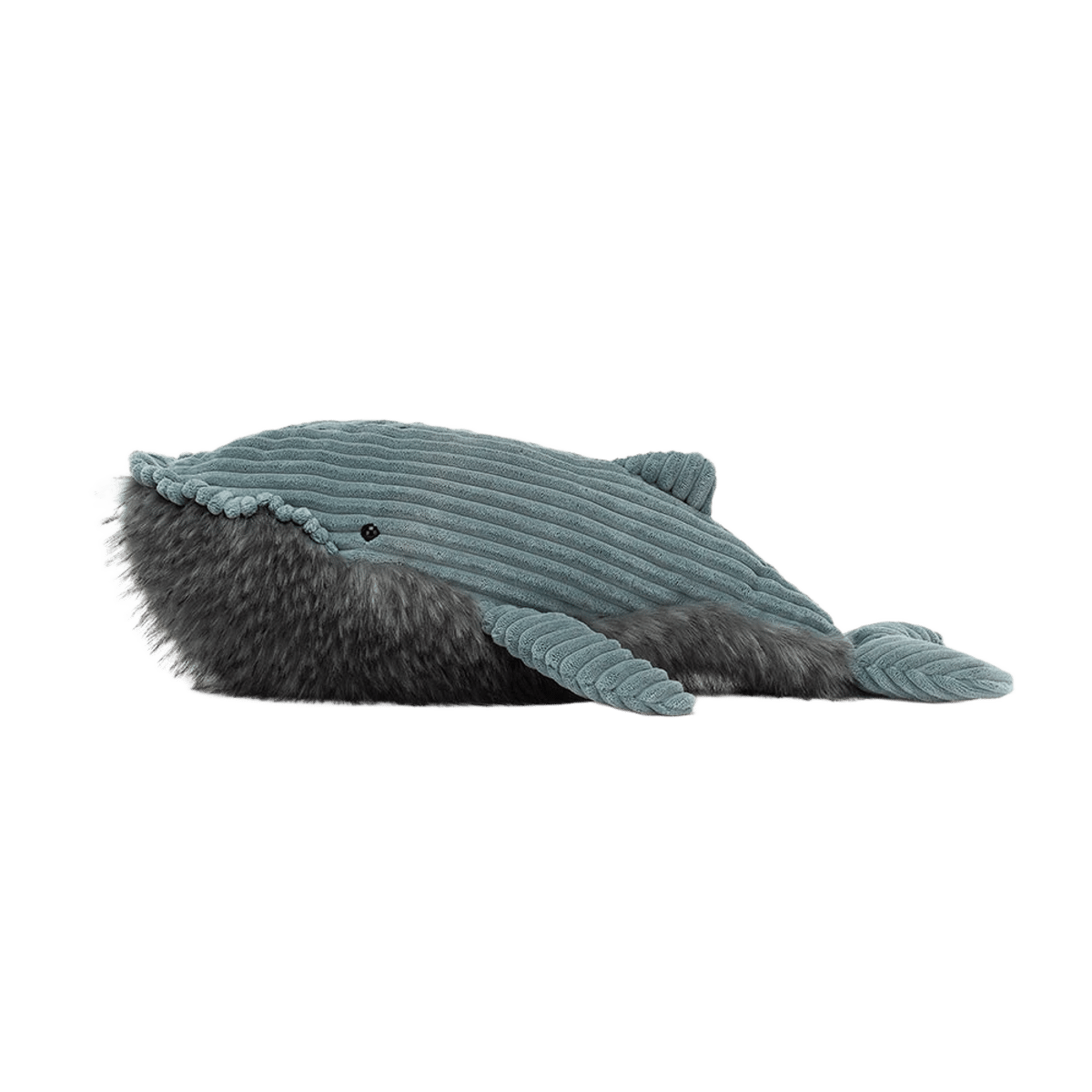 Wiley Whale