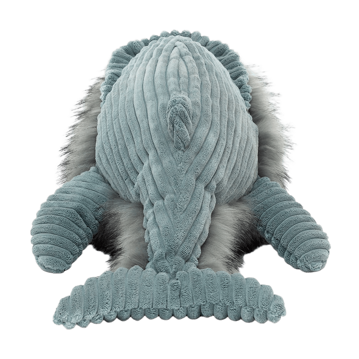 Wiley Whale