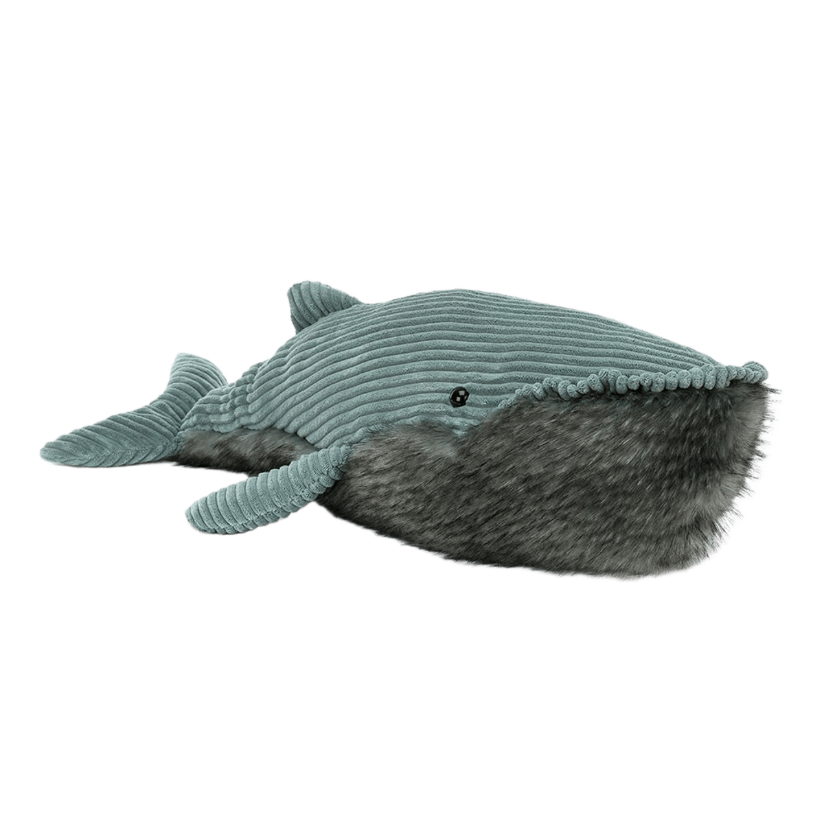 Wiley Whale