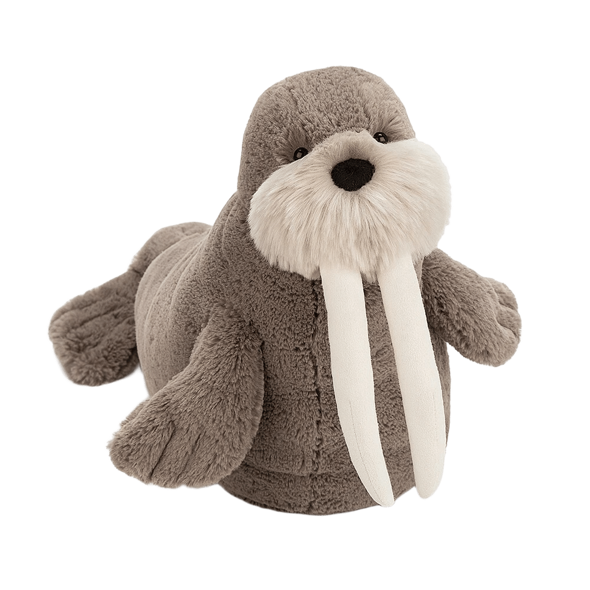 Willie Walrus