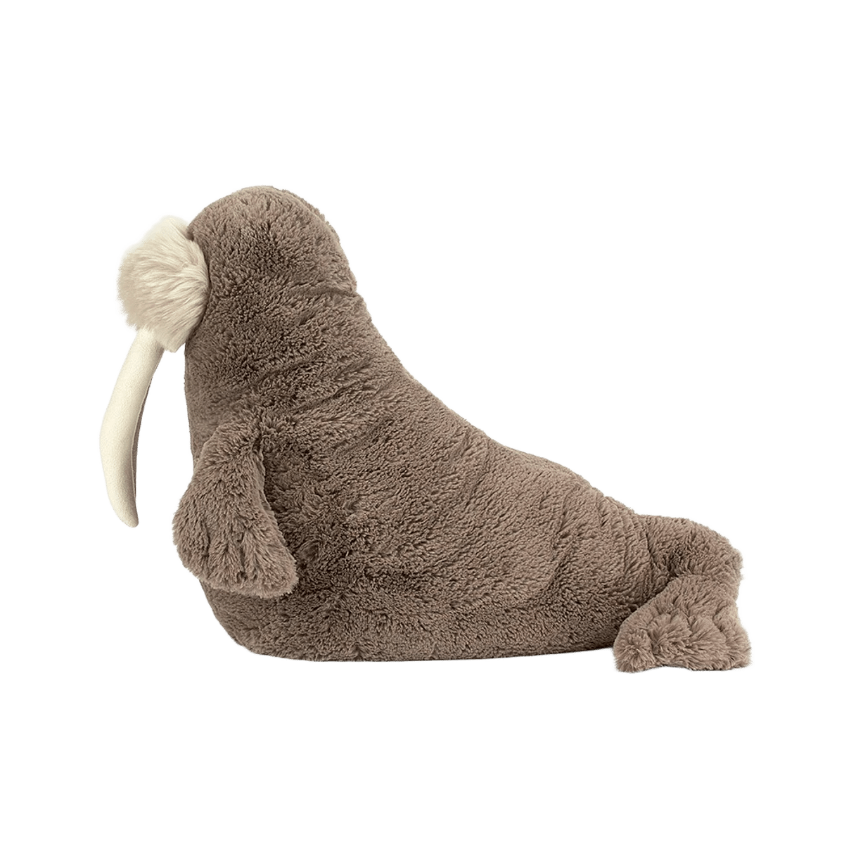 Willie Walrus