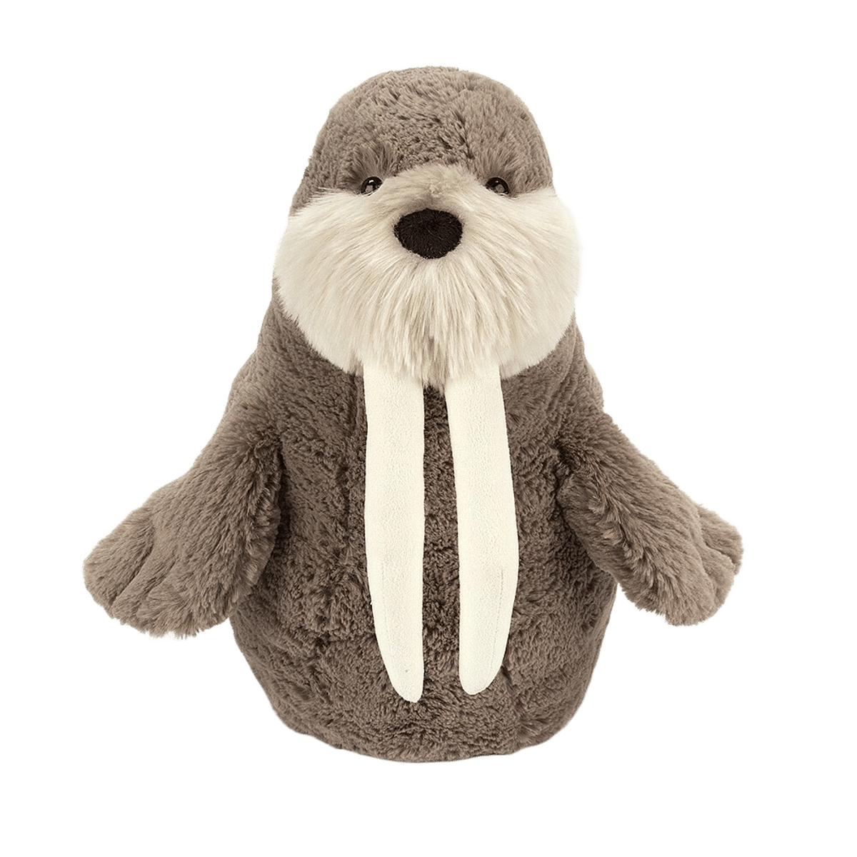 Willie Walrus
