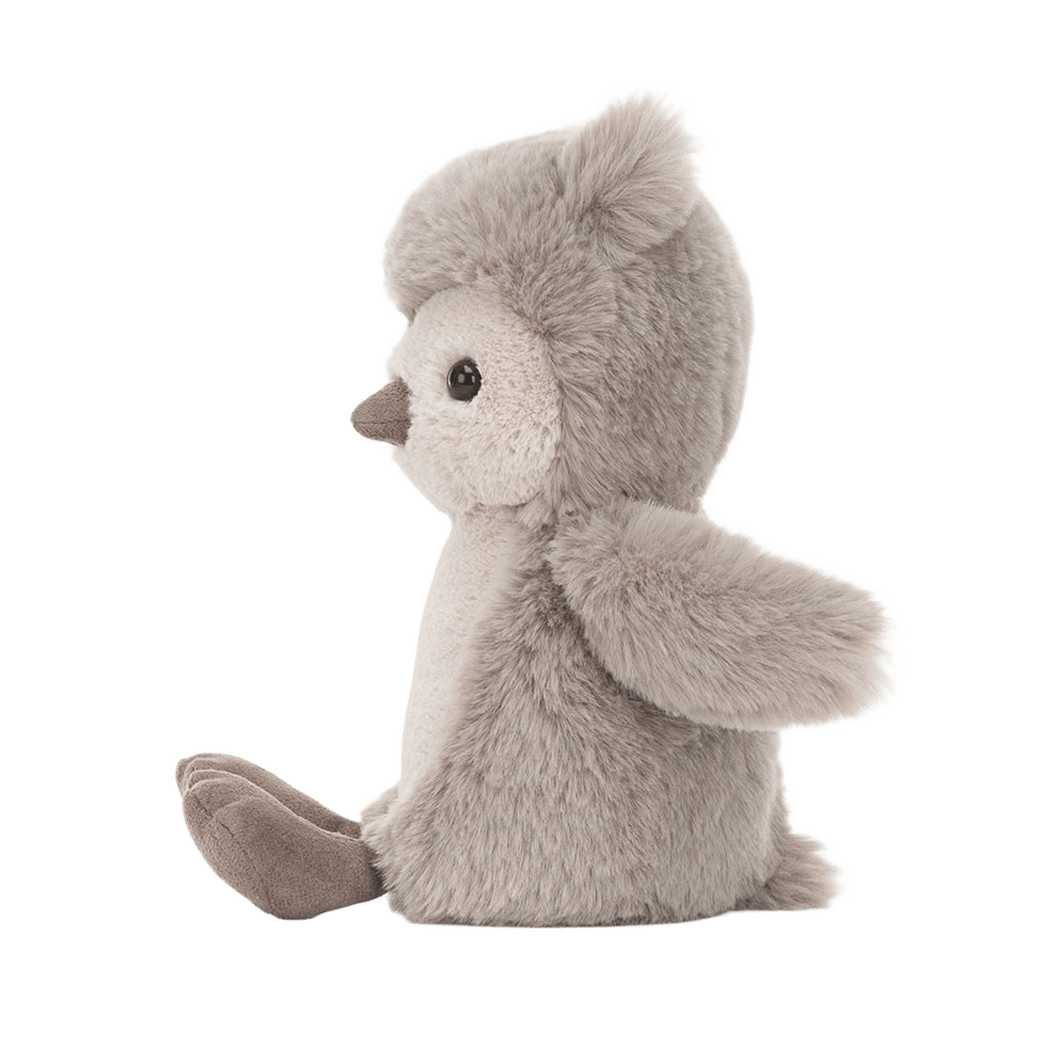 Willow Owl