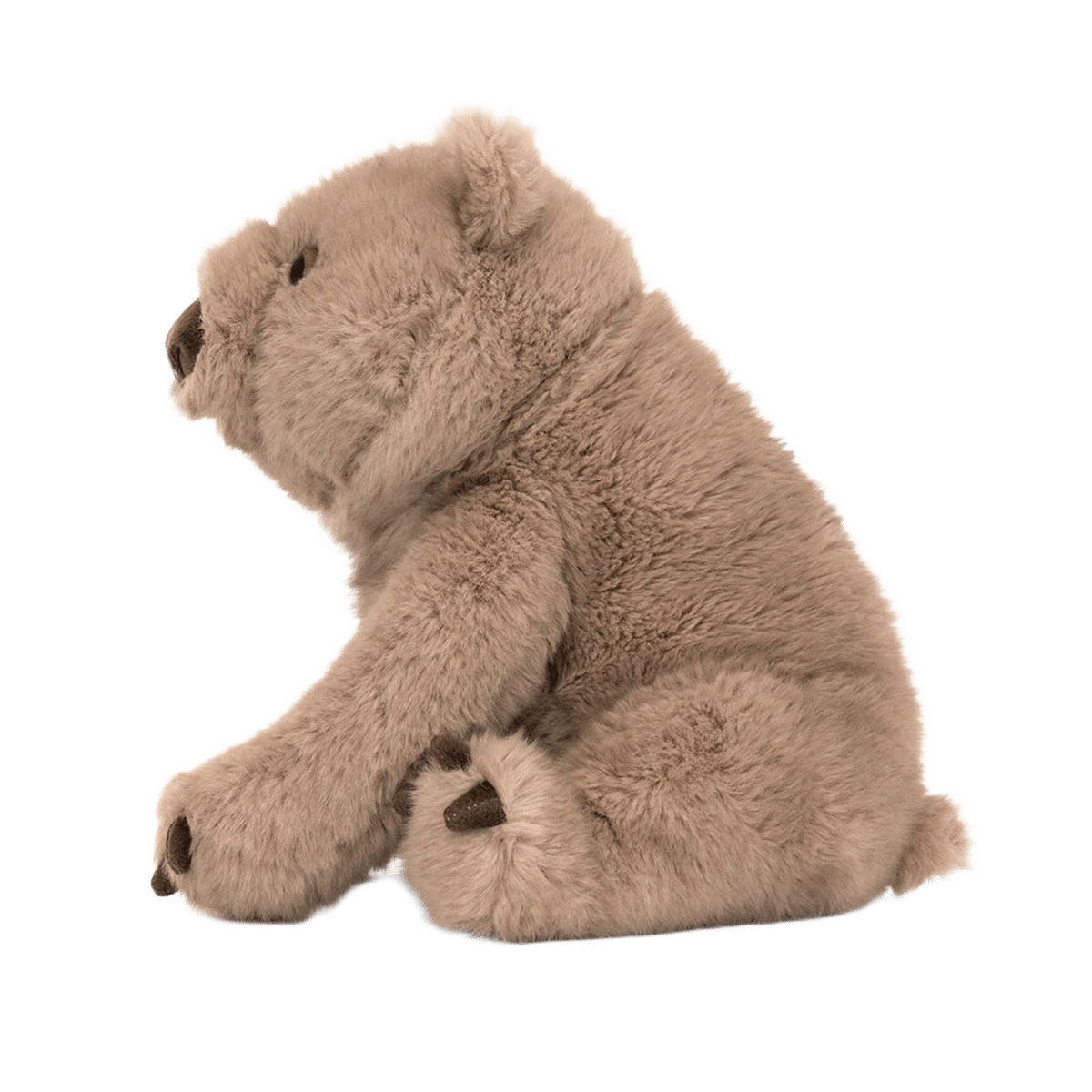 Wonda Wombat