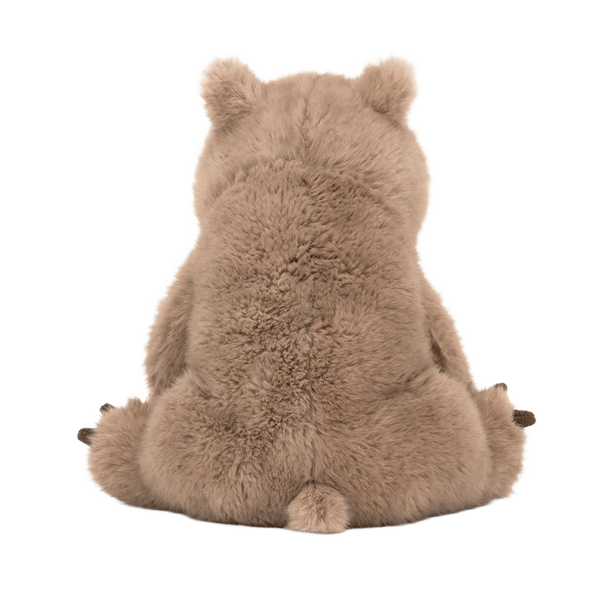 Wonda Wombat