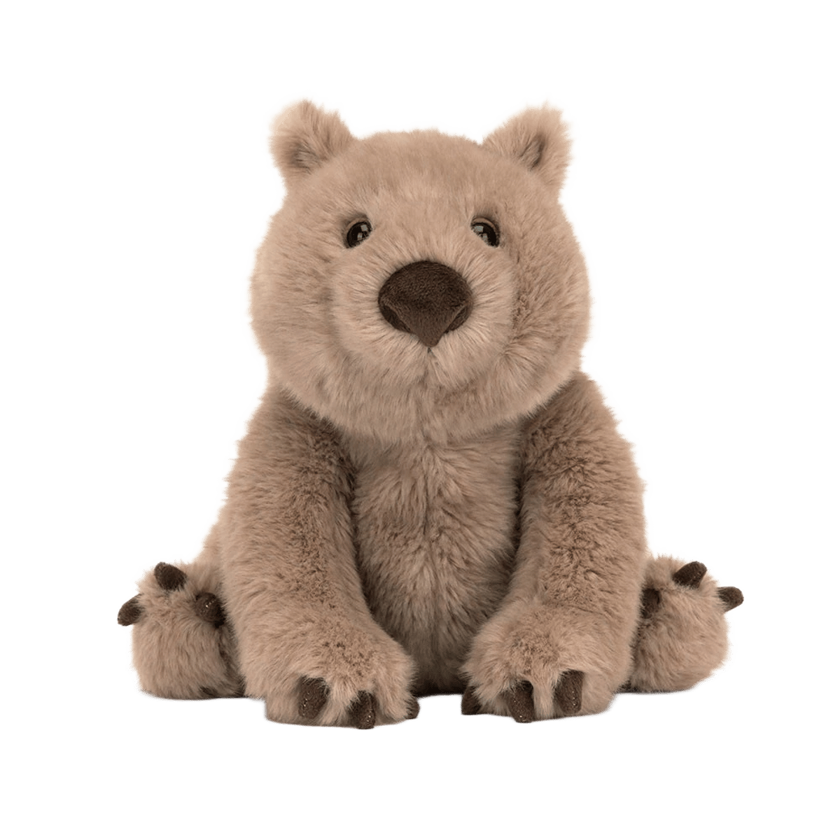 Wonda Wombat