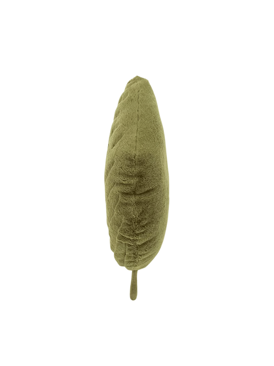Woodland Beech Leaf