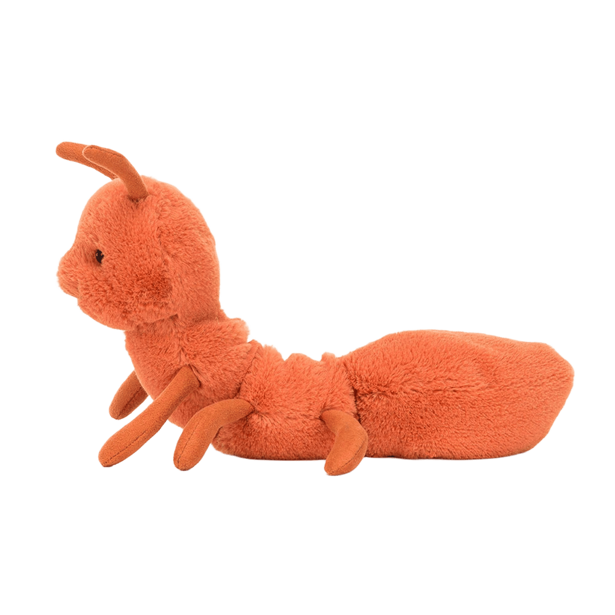 Wriggidig Ant