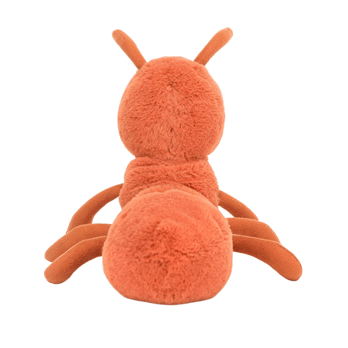 Wriggidig Ant