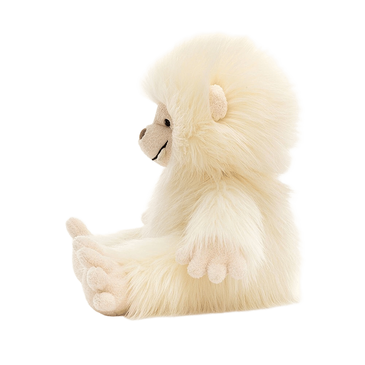Yani Yeti
