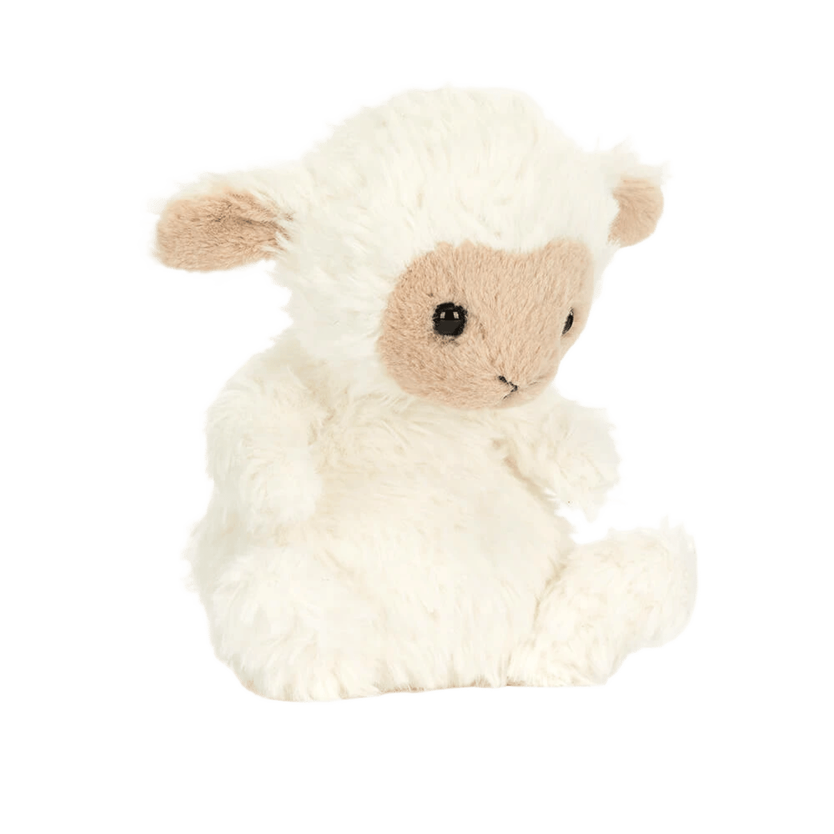 Yummy Lamb