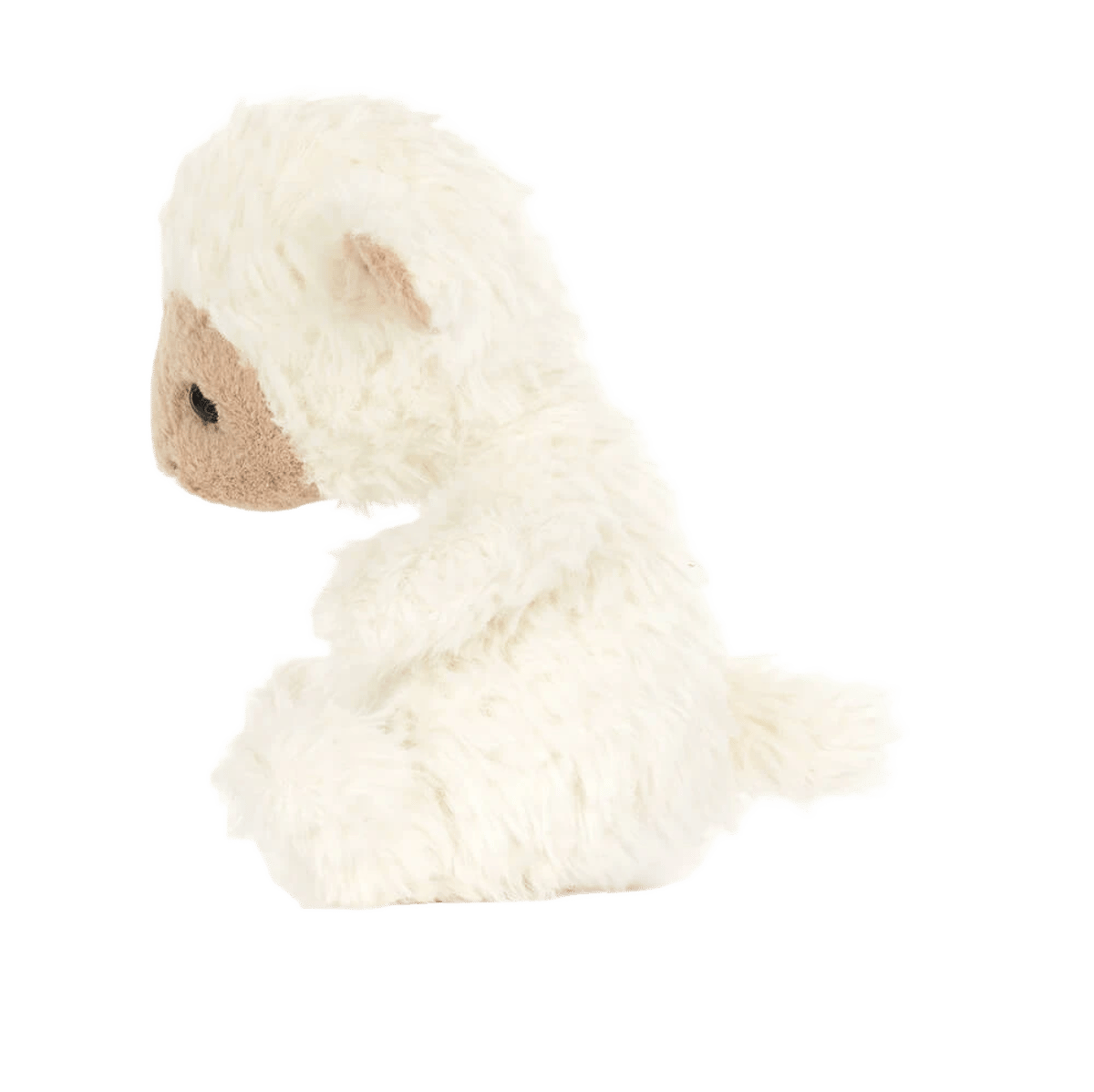 Yummy Lamb