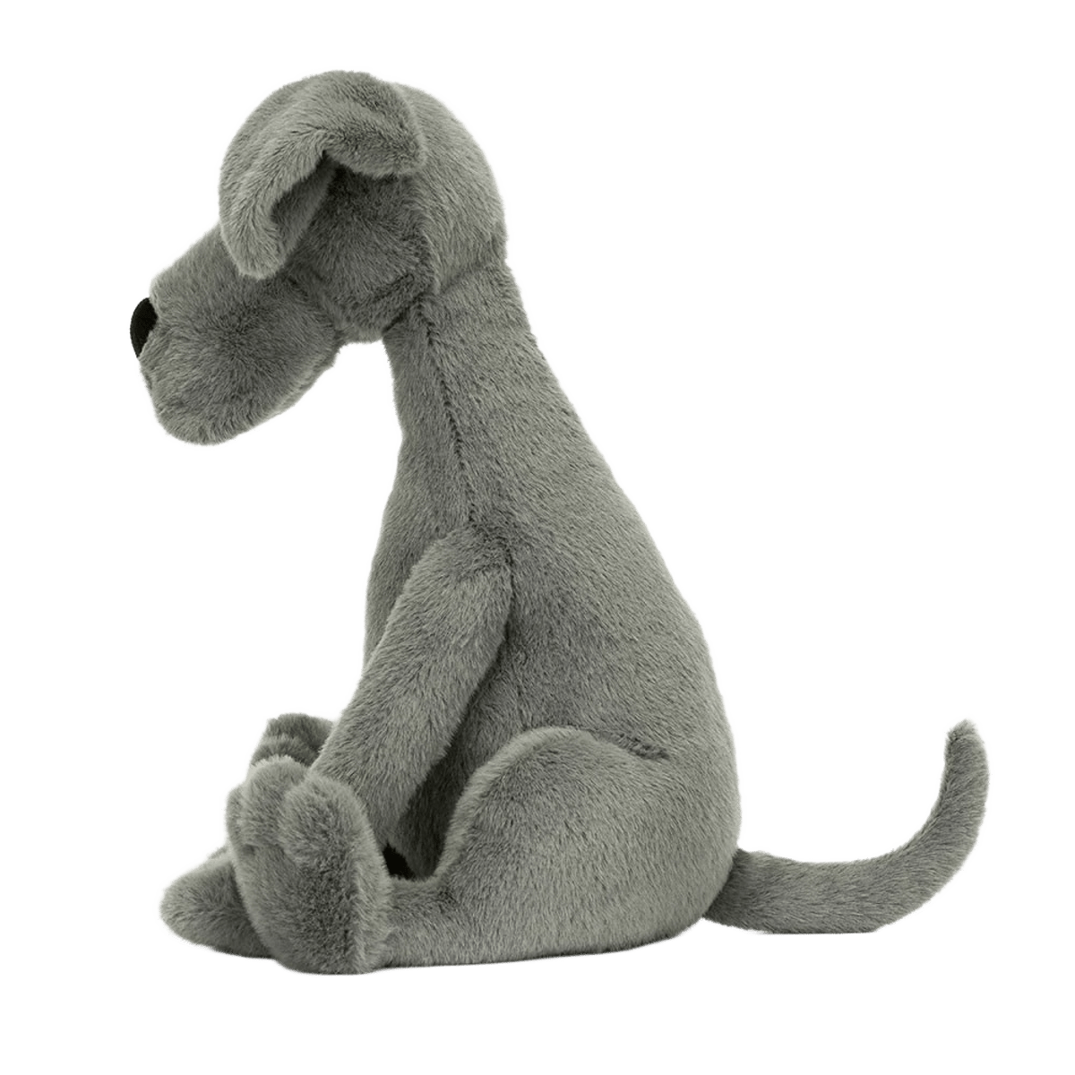 Zeus Great Dane