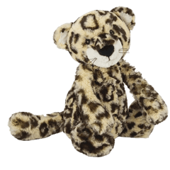 Bashful Leopard