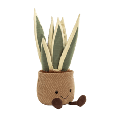 Amuseables Snake Plant