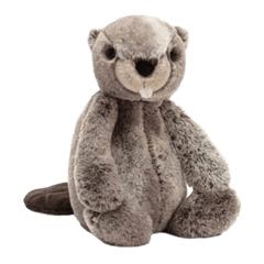 Bashful Beaver