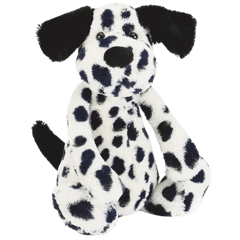 Bashful Dalmatian