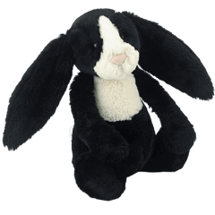 Bashful Dutch Bunny
