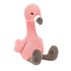 Bashful Flamingo