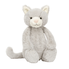 Bashful Grey Kitty