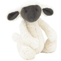 Bashful Greyface Lamb