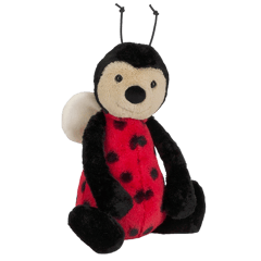 Bashful Ladybird